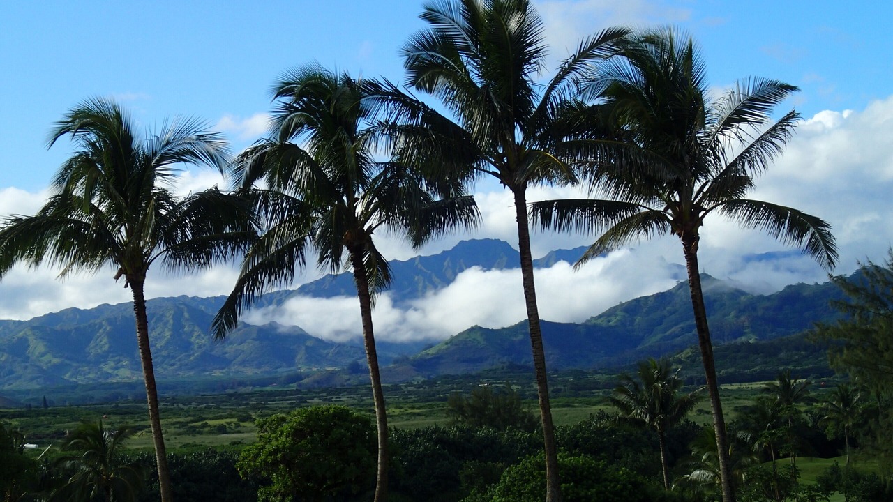 Photo of Others in Poipu