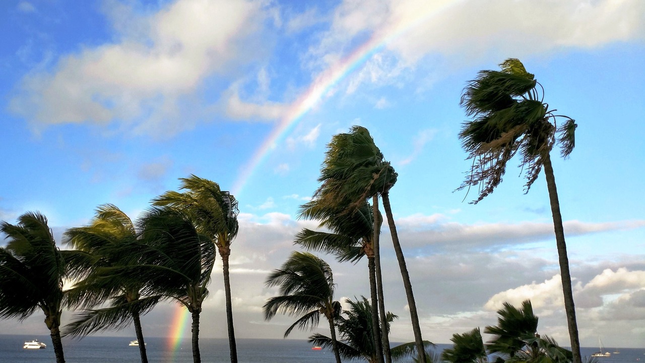 Photo of Others in Historic Lahaina Front Street