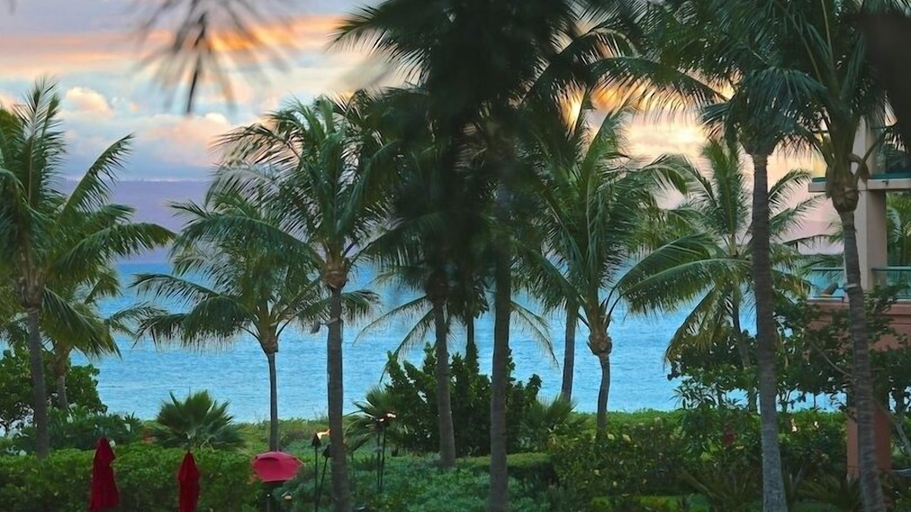 Photo of Others in Honokowai