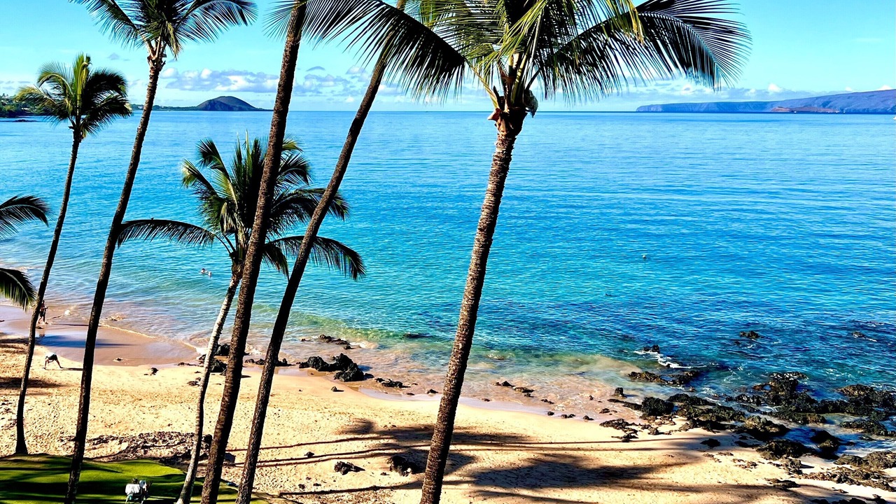 Photo of Others in Kihei
