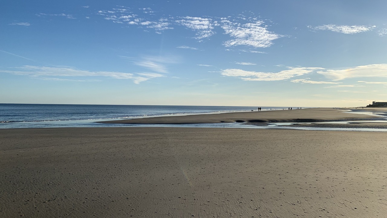 Photo of Others in Palmetto Dunes