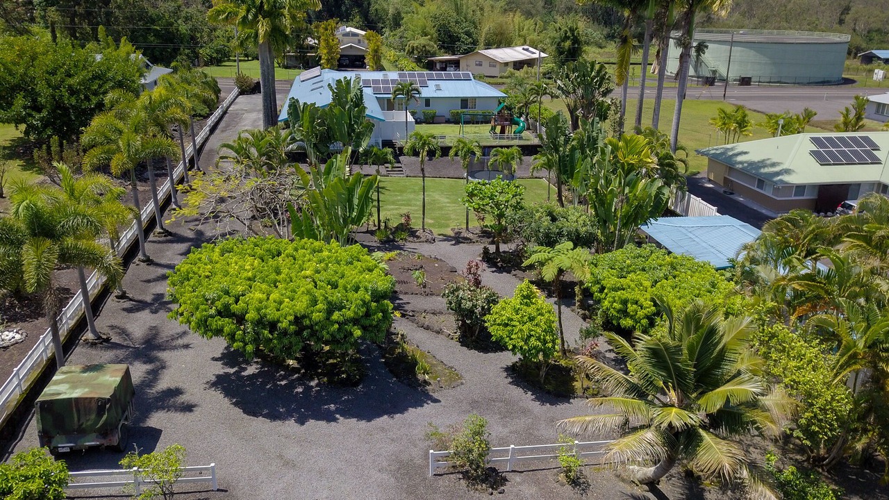Photo of Outdoor in Hilo