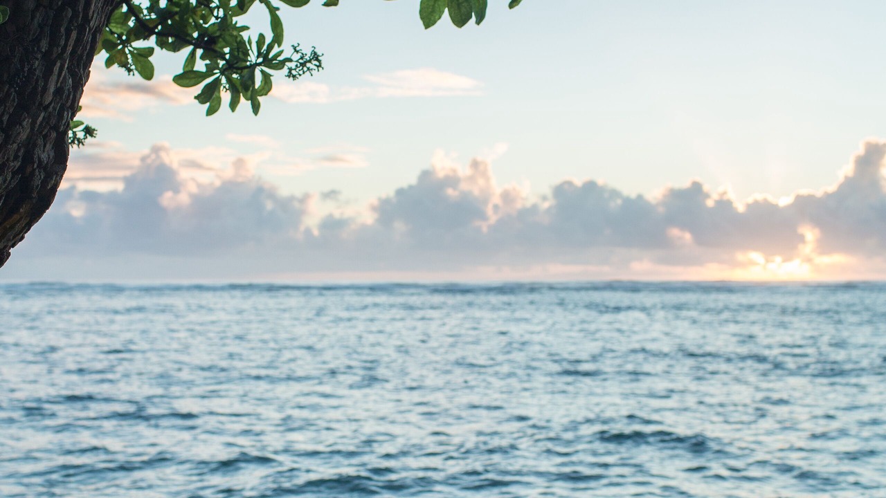 Photo of Others in Hauula