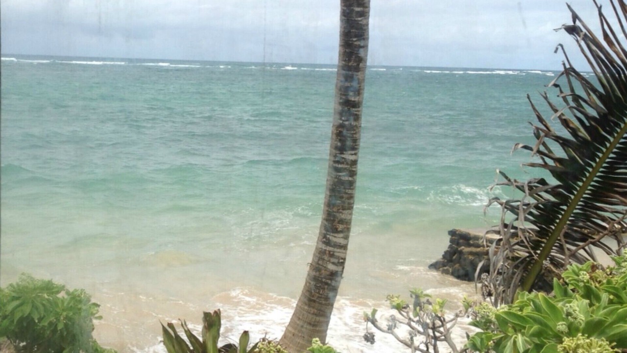 Photo of Others in Hauula