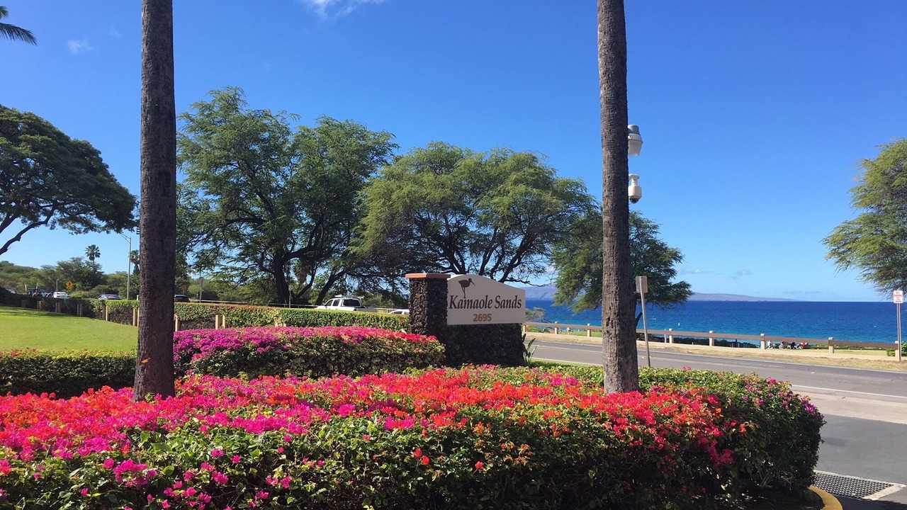 Photo of Others in Kihei