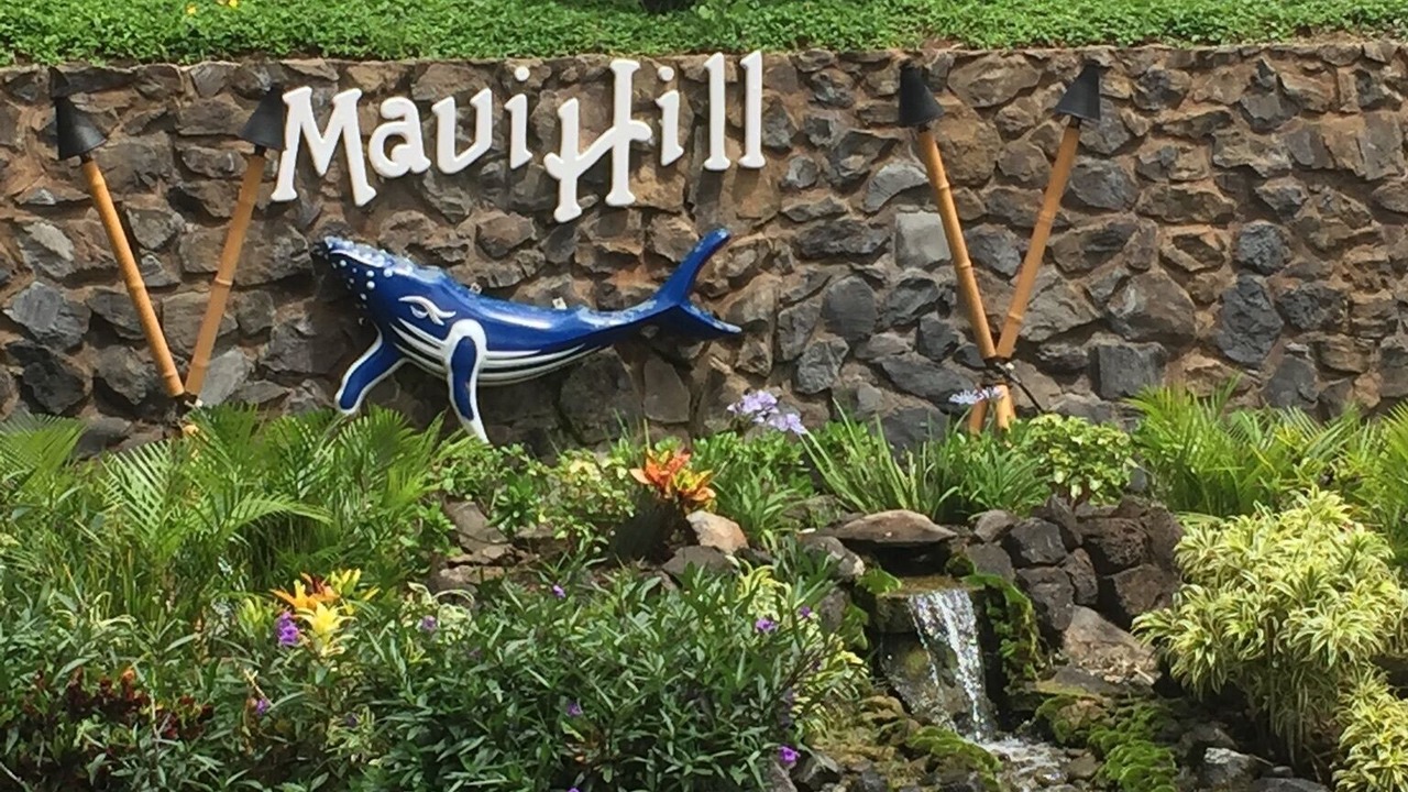 Photo of Others in Kihei
