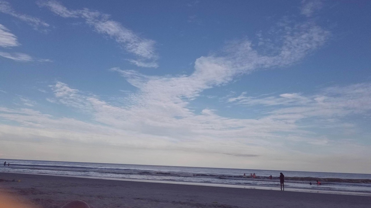 Photo of Others in Arcadian Shores