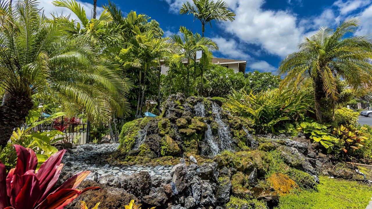 Photo of Others in Wailea