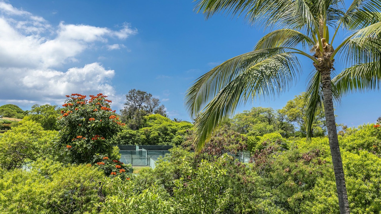 Photo of Outdoor in Wailea