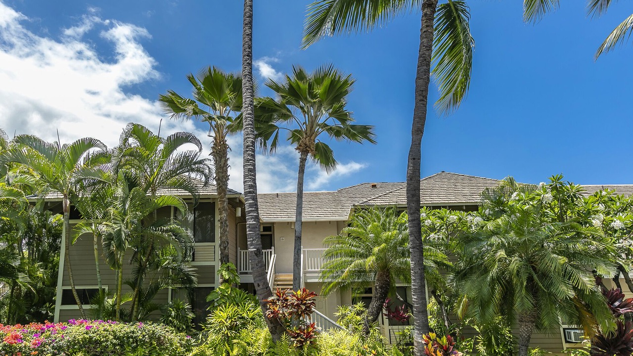 Photo of Others in Wailea