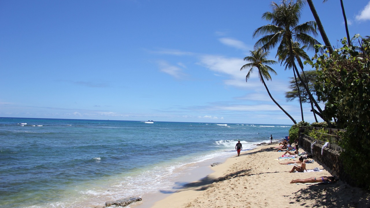 Photo of Others in Kahala