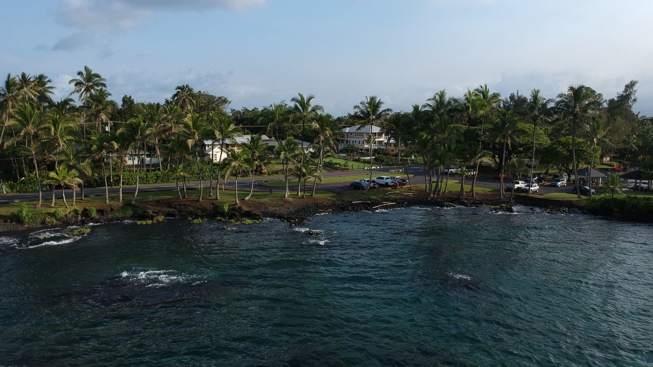 Photo of Others in Hilo