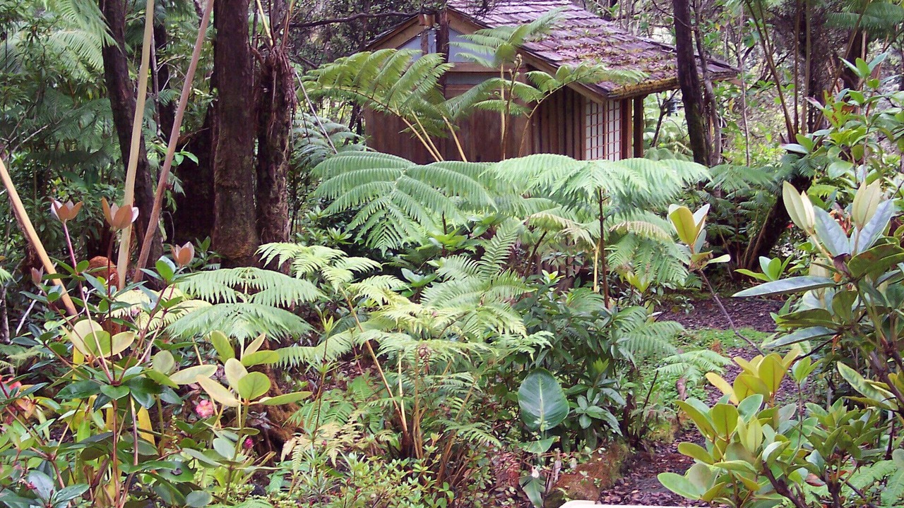 Photo of Outdoor in Volcano