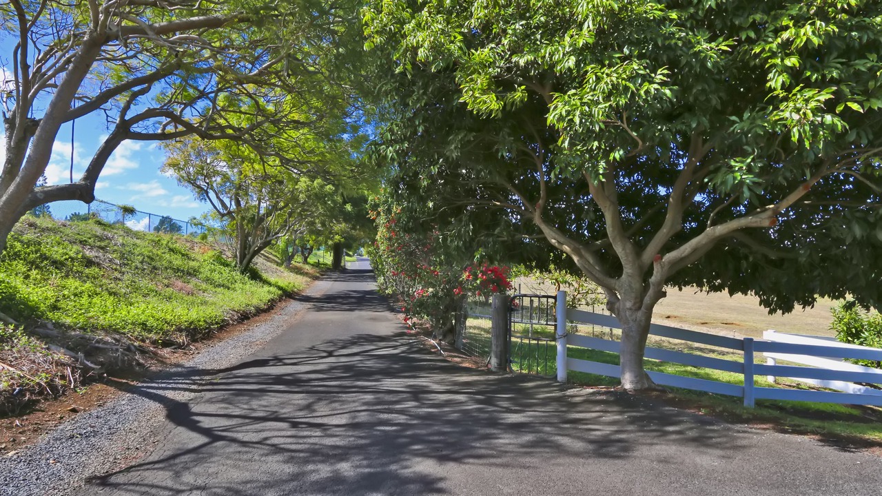 Photo of Others in Makawao