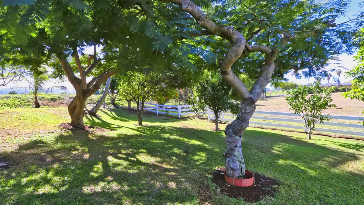 Photo of Outdoor in Makawao