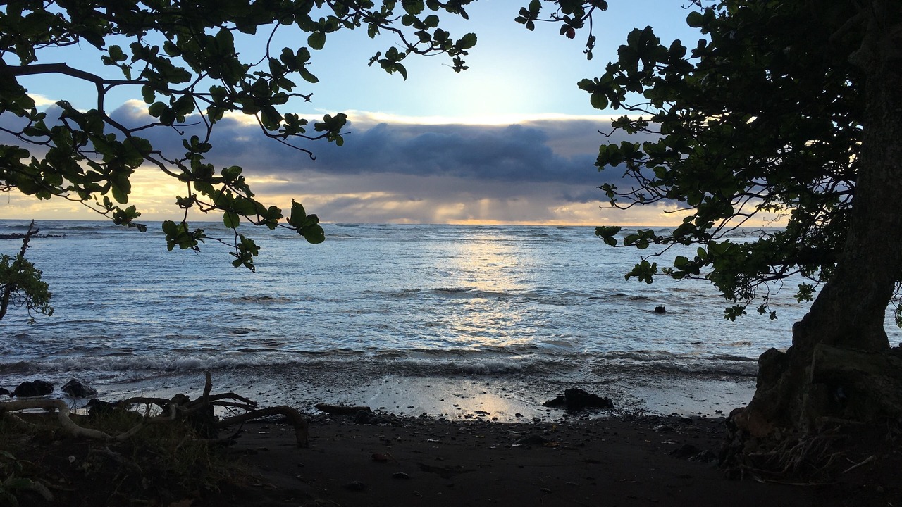 Photo of Others in Hana