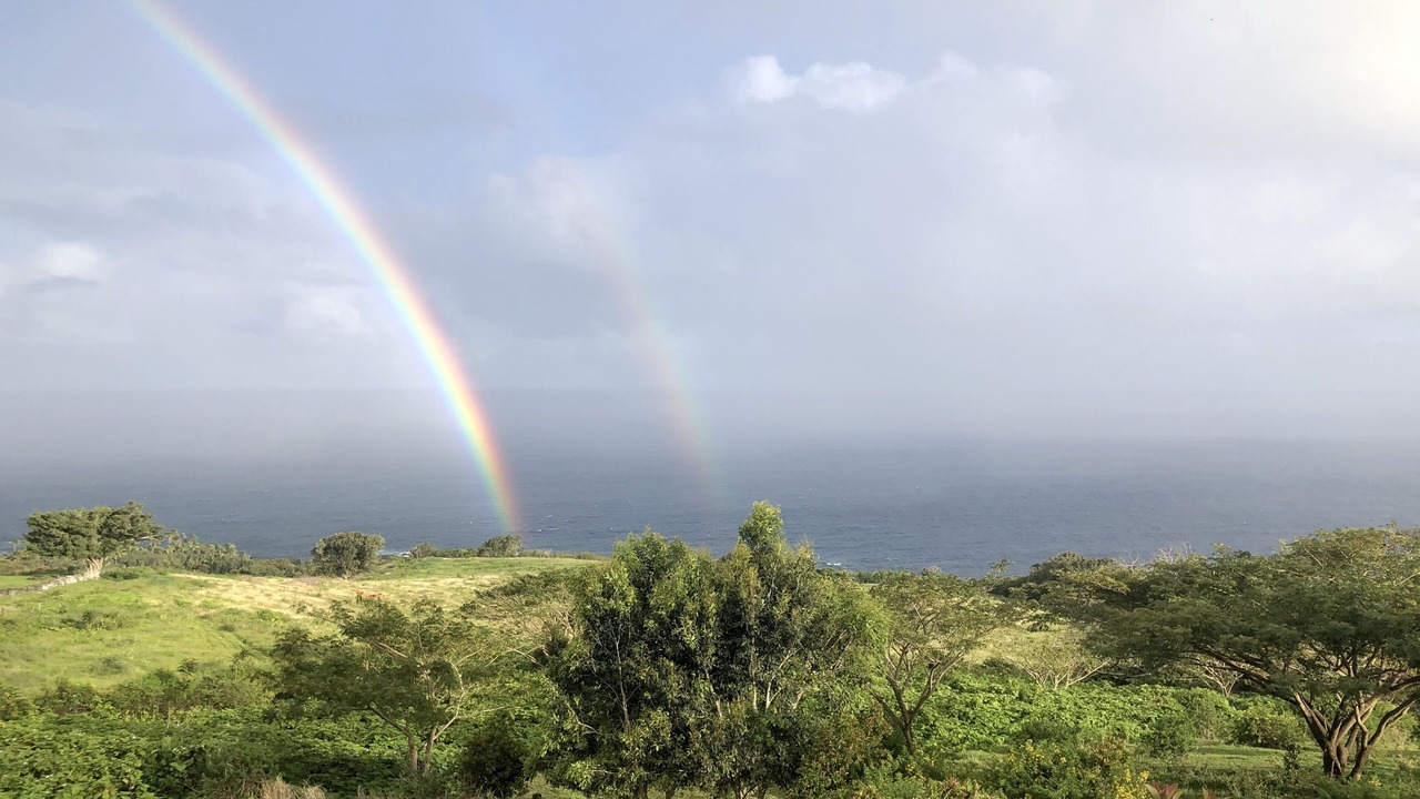 Photo of Others in Hana