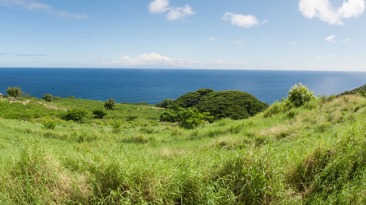 Photo of Others in Hana