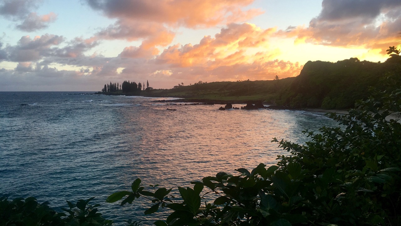 Photo of Others in Hana