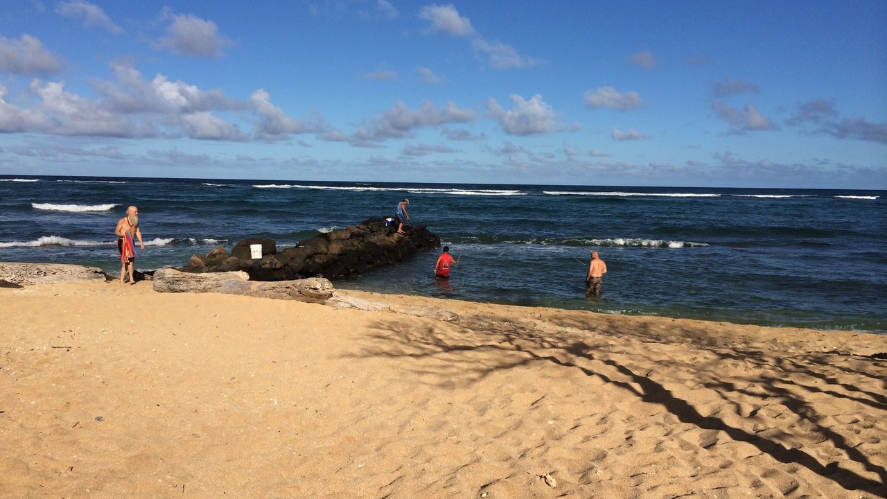 Photo of Others in Wailua