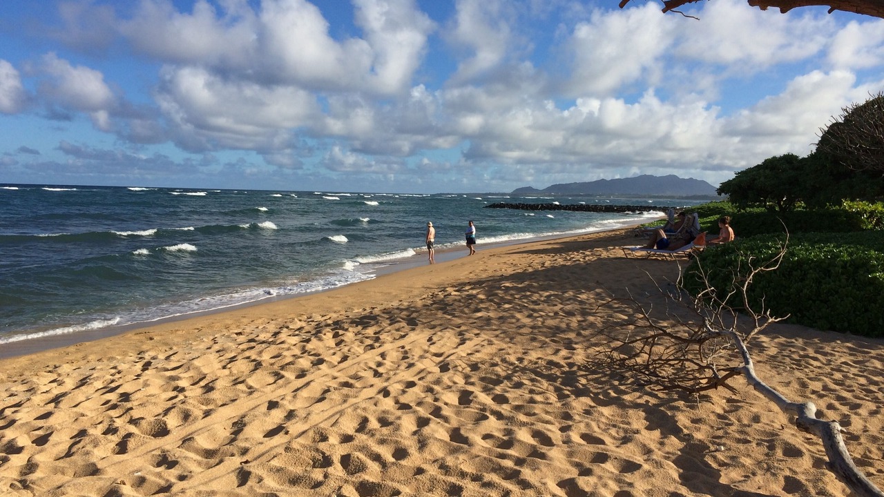 Photo of Others in Wailua