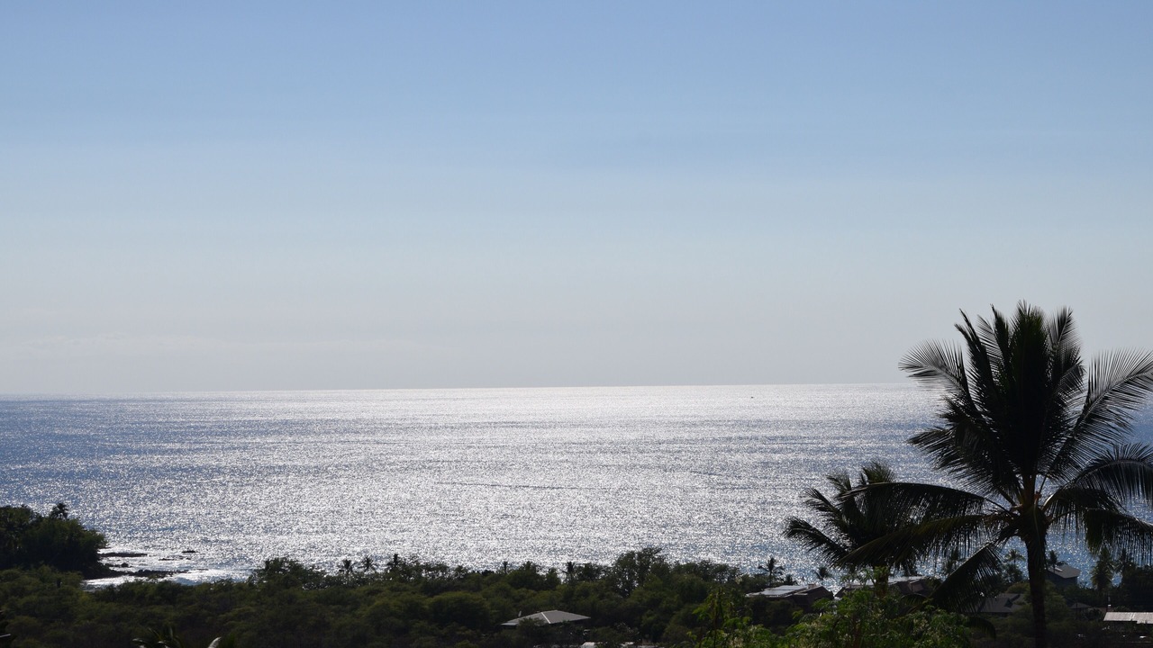 Photo of Others in Kailua-Kona