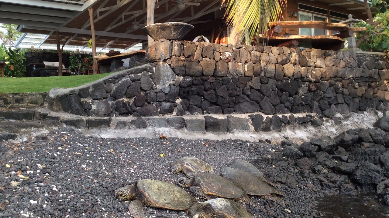 Photo of Outdoor in Kailua-Kona