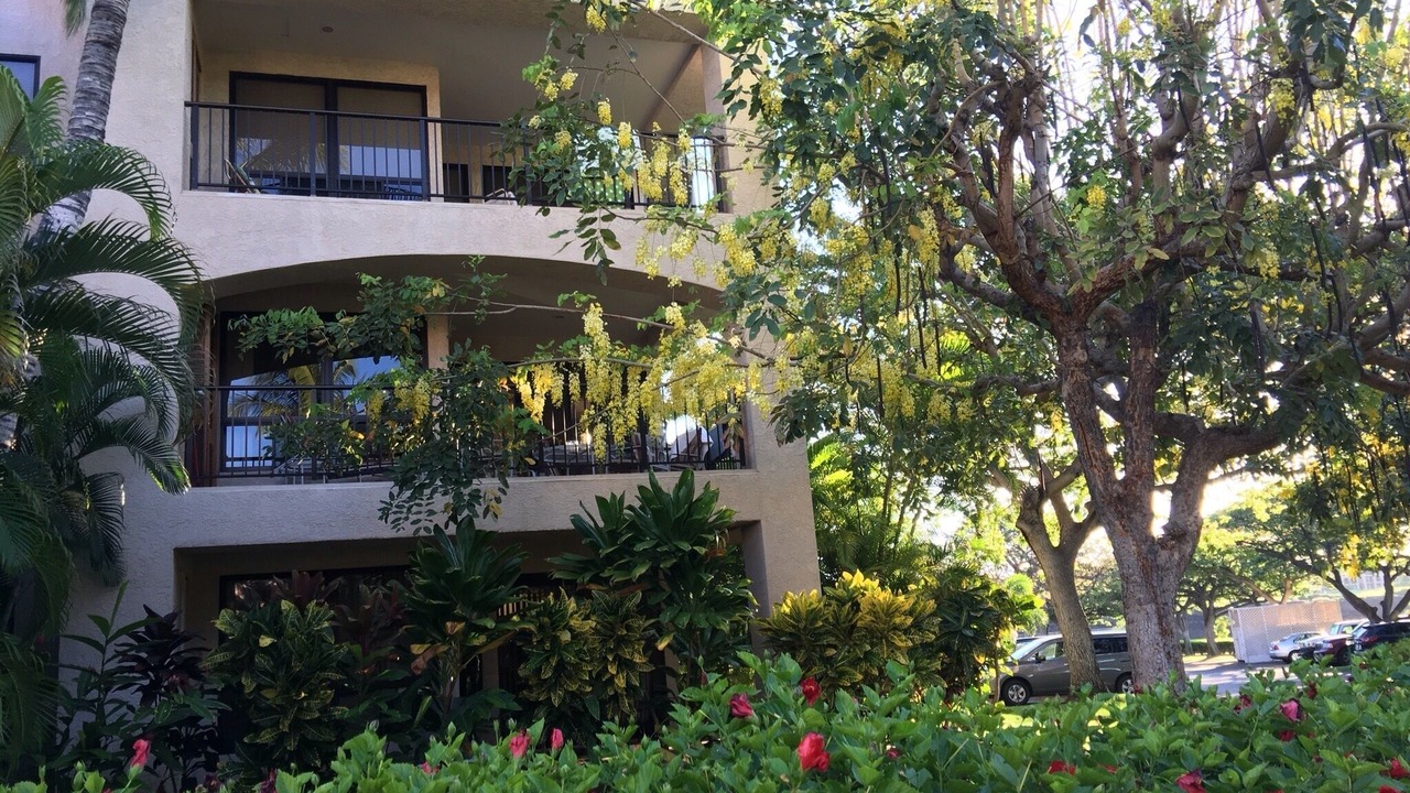 Photo of Outdoor in Waikoloa