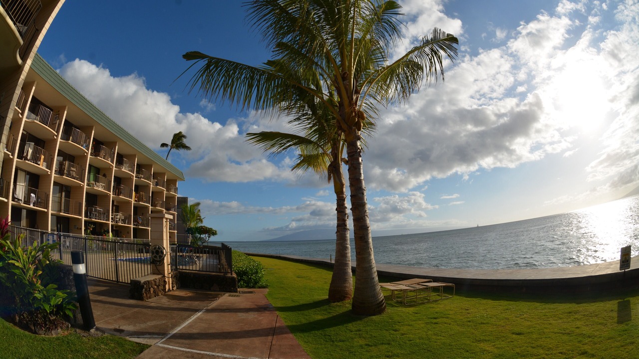 Photo of Others in Kahana