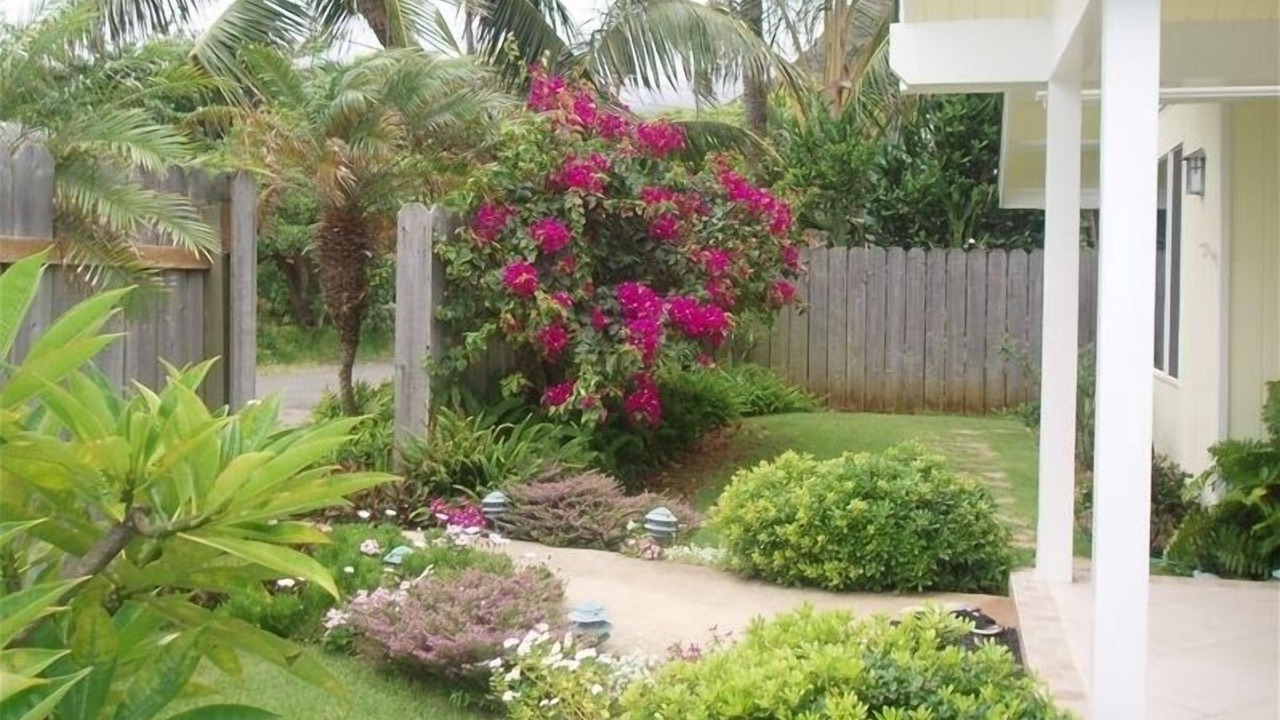 Photo of Outdoor in Hauula