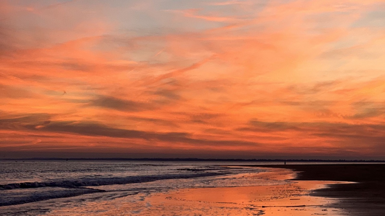 Photo of Others in Sullivan's Island
