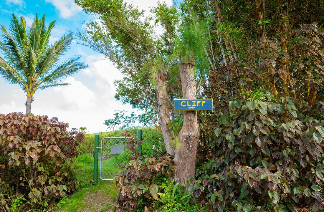 Photo of Outdoor in Haiku