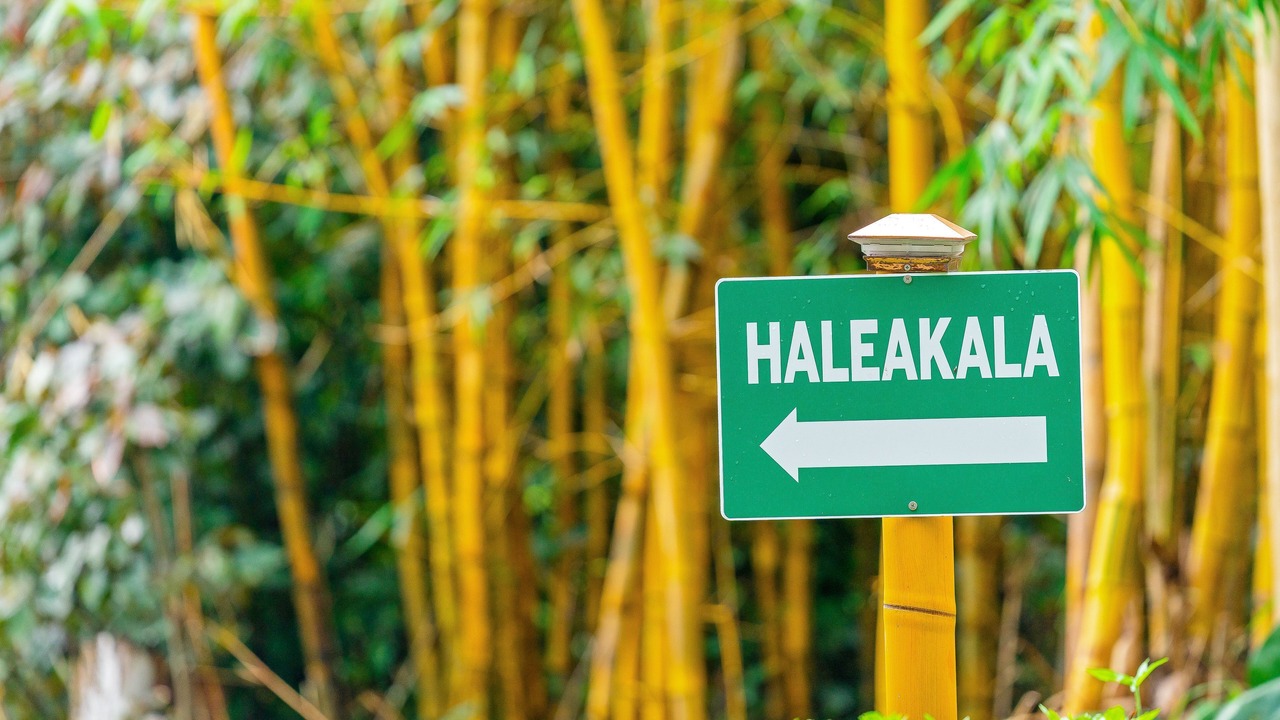 Photo of Outdoor in Haiku