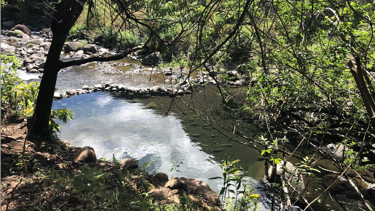 Photo of Outdoor in Waihee-Waiehu