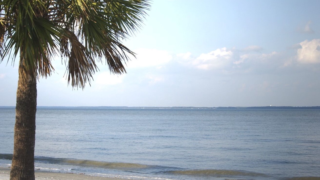 Photo of Others in Hilton Head Island