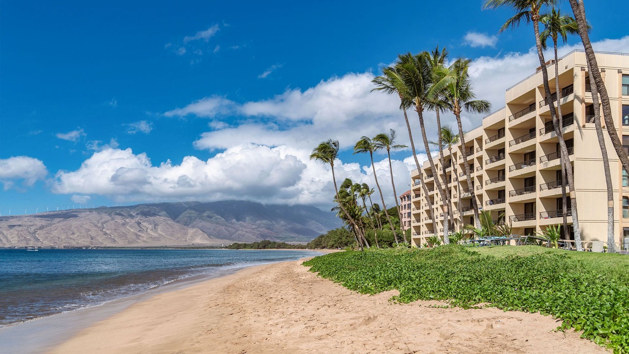 Photo of Others in Kihei