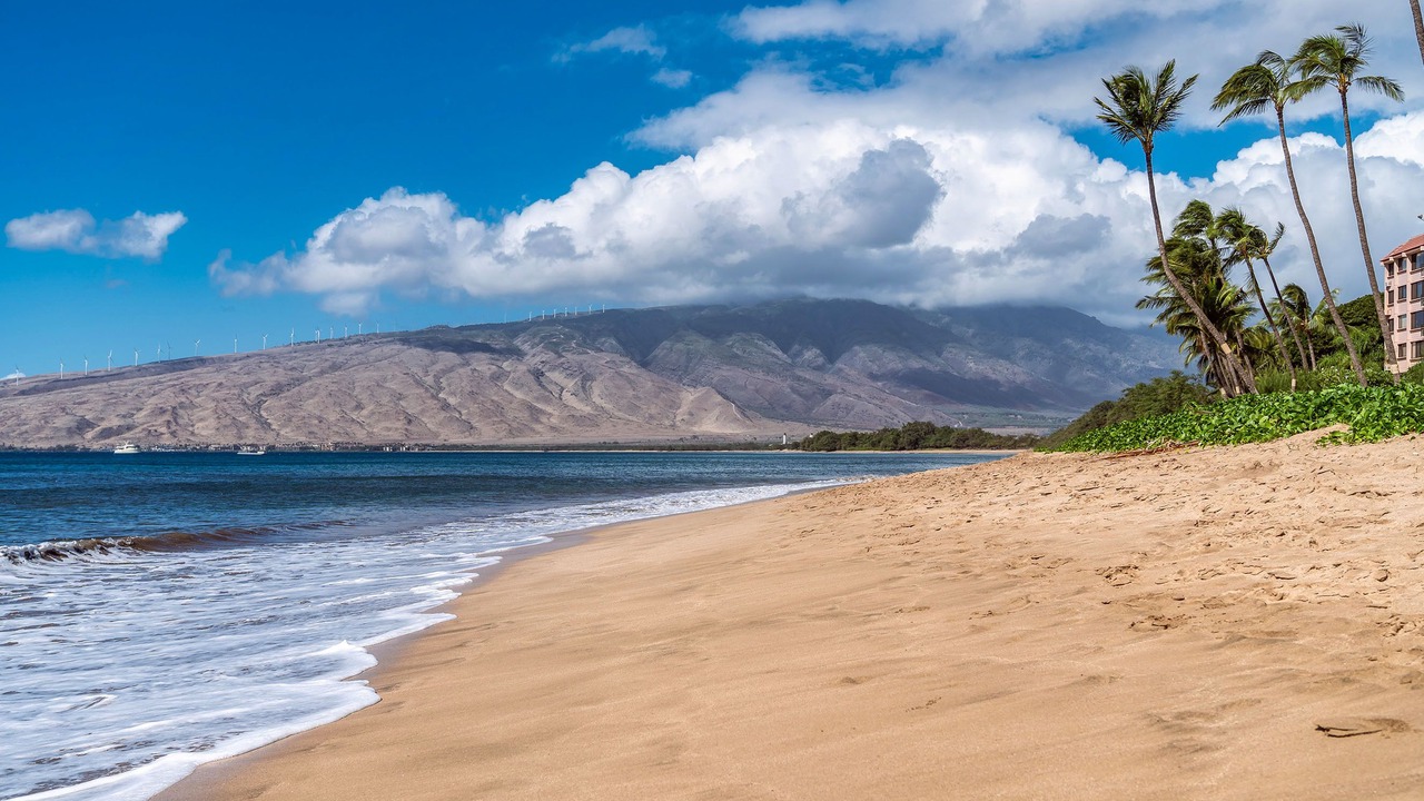 Photo of Others in Kihei