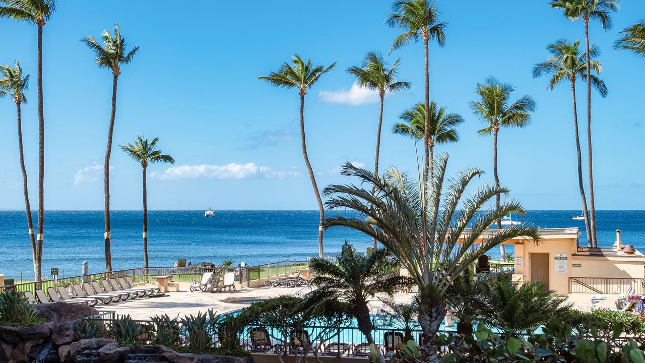 Photo of Outdoor in Kihei