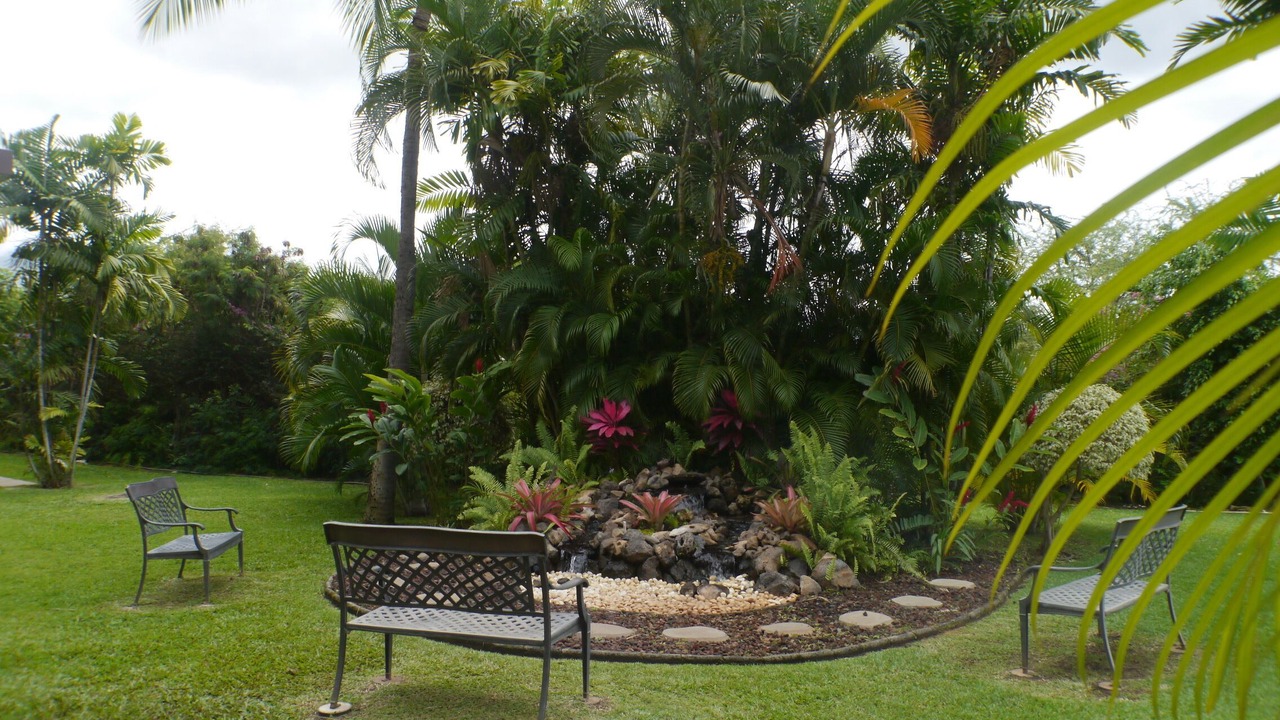 Photo of Others in Kihei
