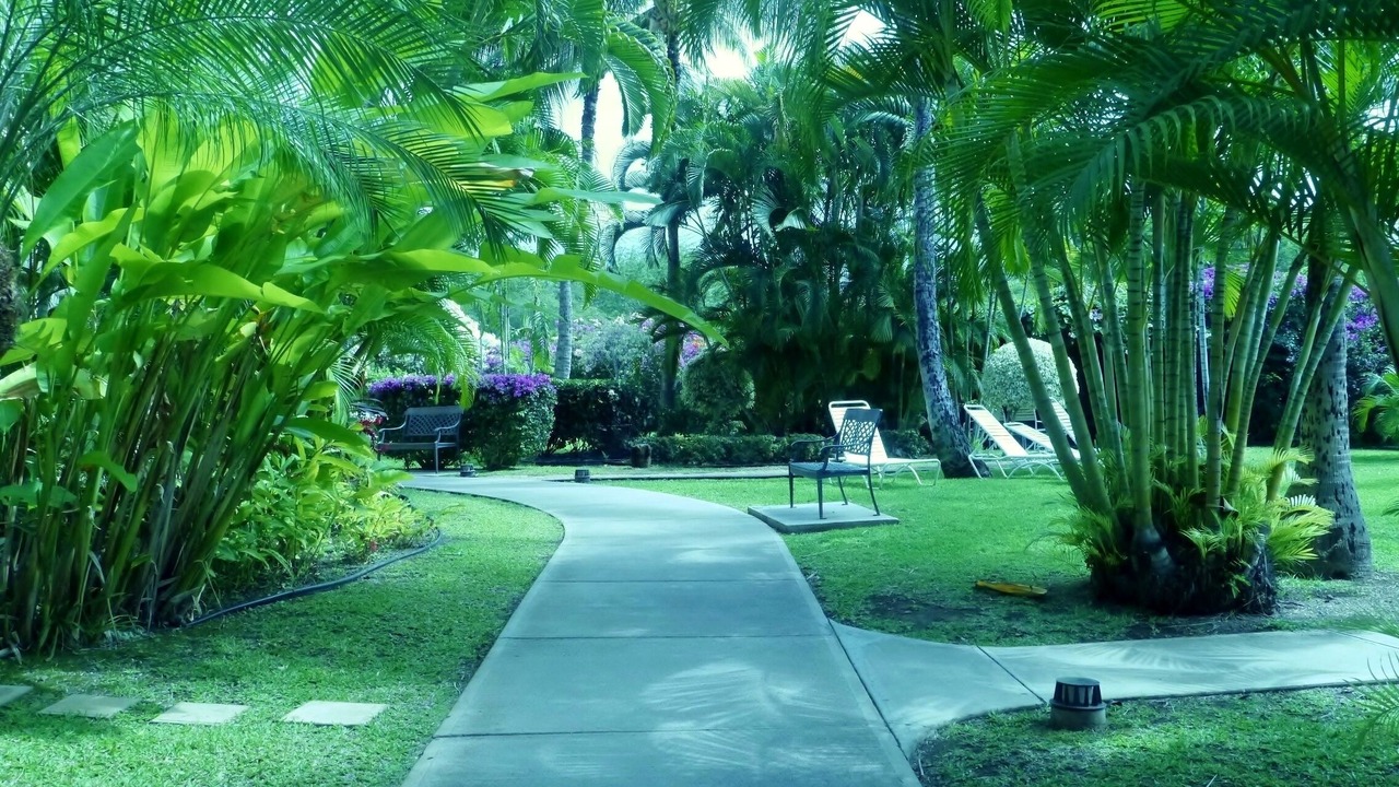 Photo of Outdoor in Kihei