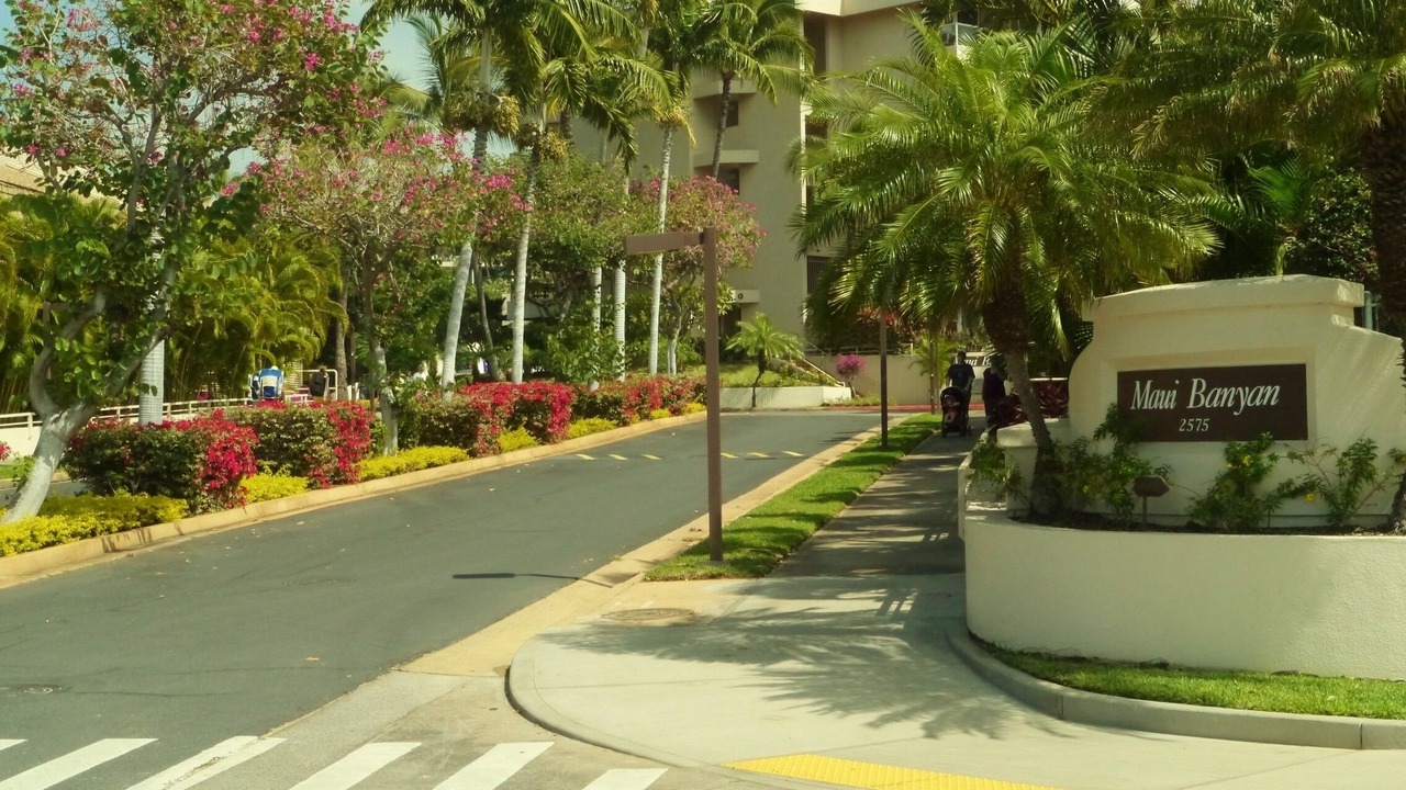 Photo of Others in Kihei