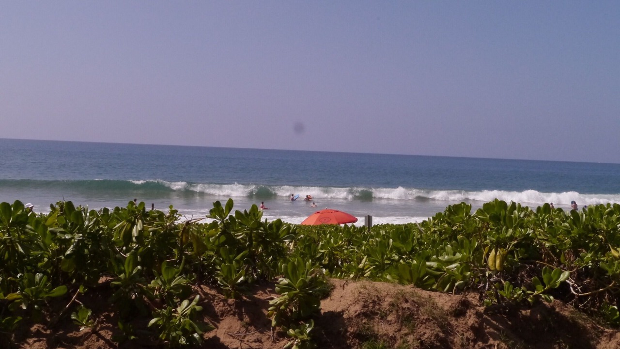 Photo of Others in Kihei