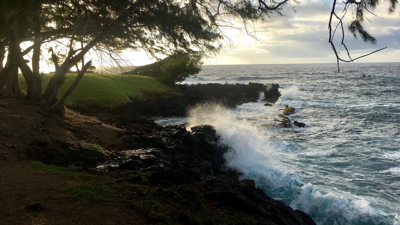 Photo of Others in Hana