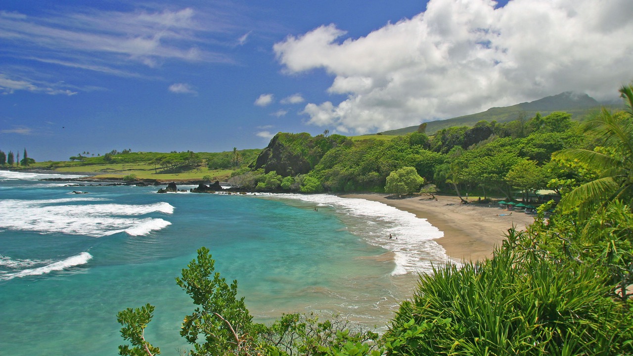 Photo of Others in Hana