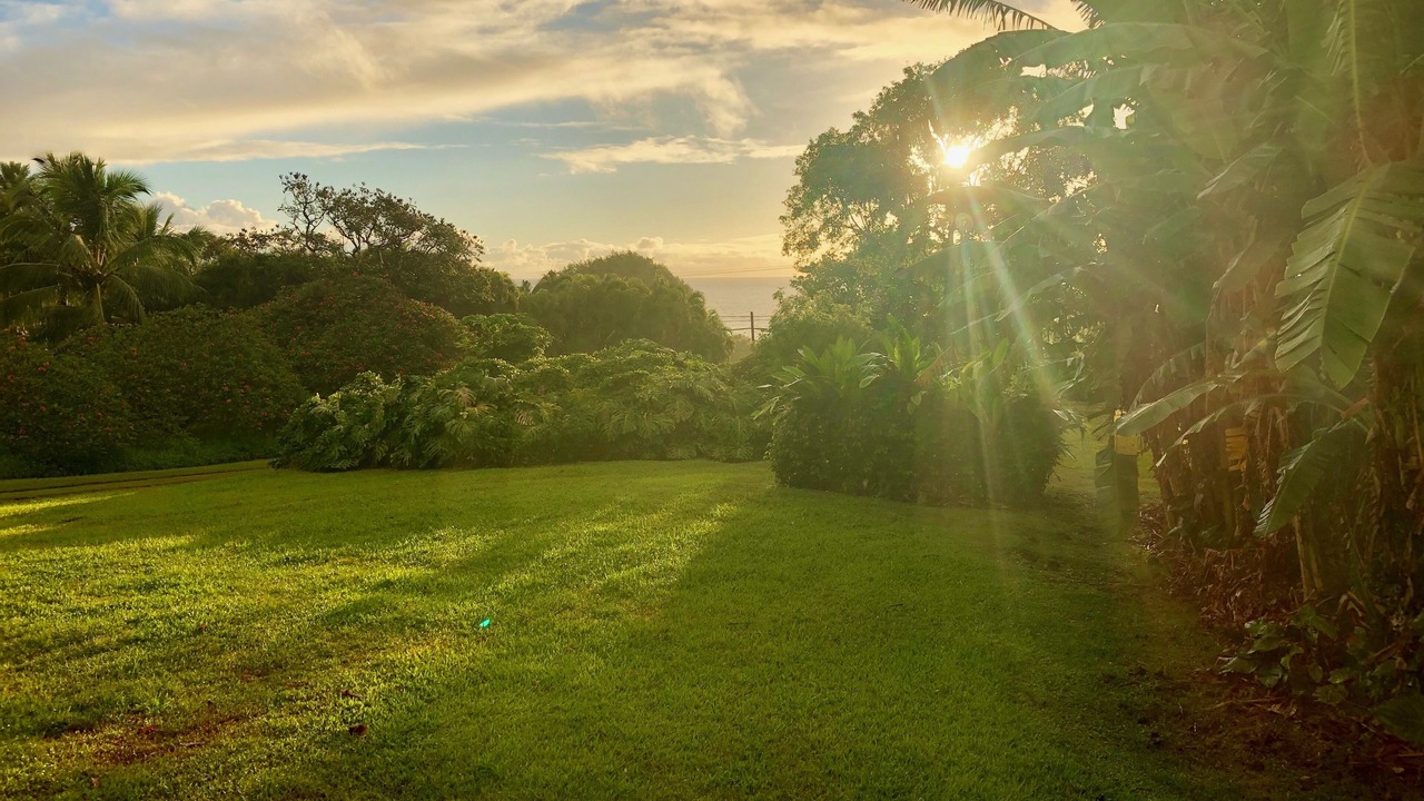 Photo of Others in Hana