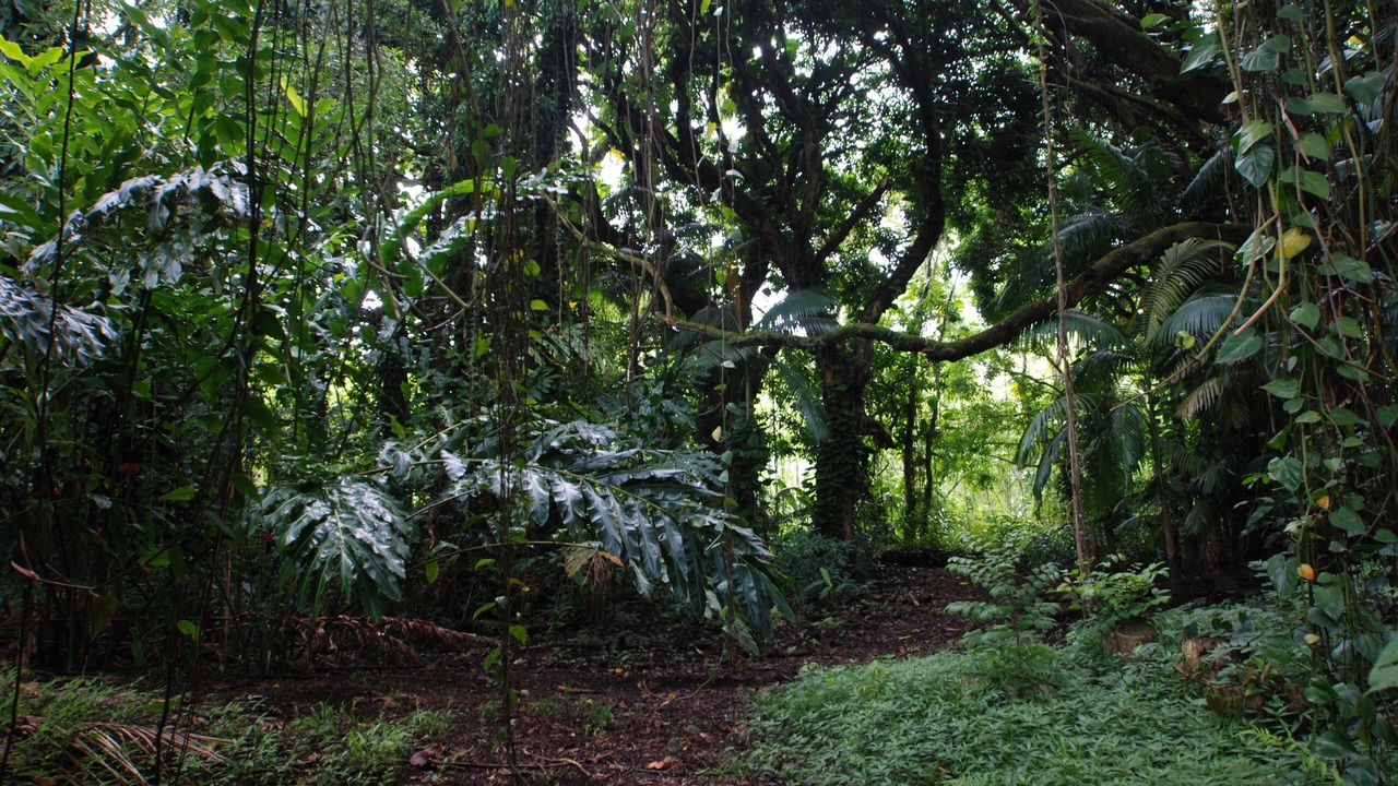 Photo of Others in Keaau