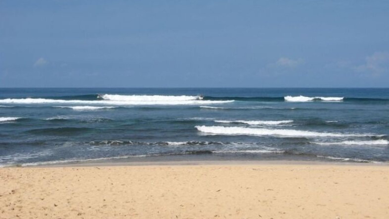 Photo of Others in Pupukea