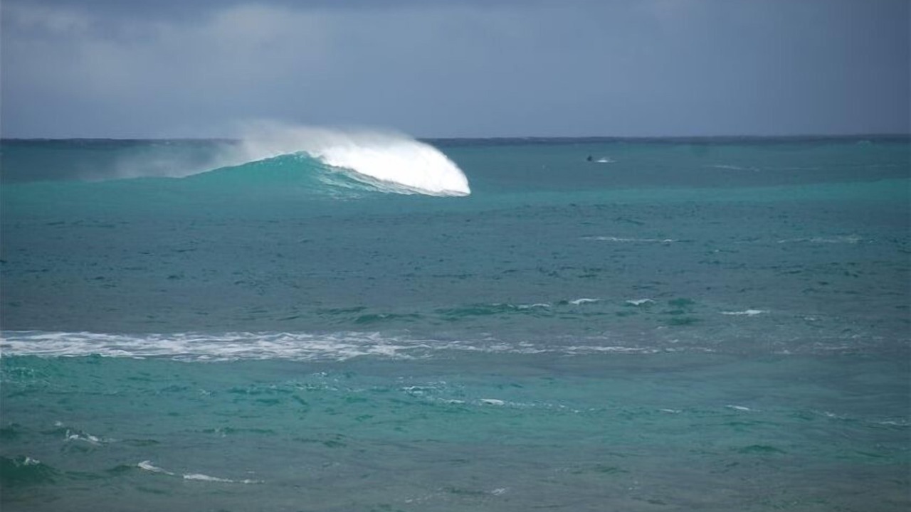Photo of Others in Pupukea