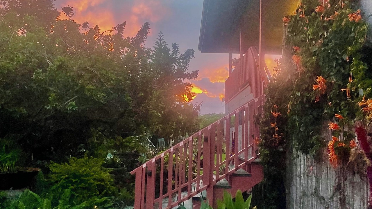 Photo of Others in Naalehu