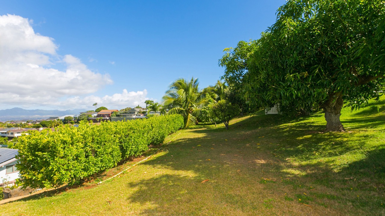 Photo of Others in Waimalu